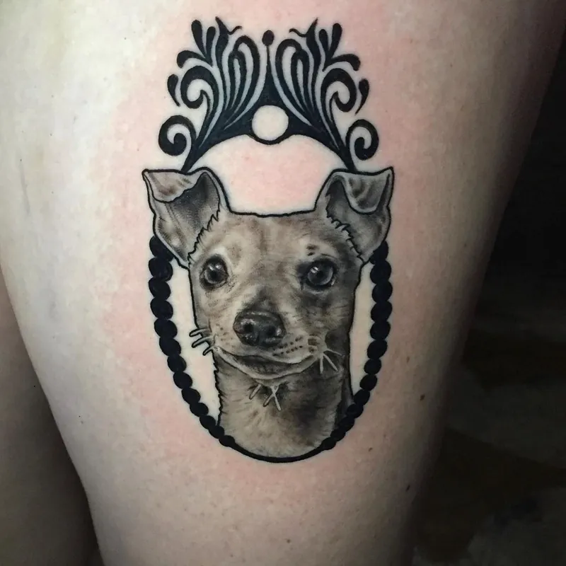 Black and grey realism tattoo of a chihuahua's face wearing a charm collar, framed in ornate scrollwork and a beaded border.