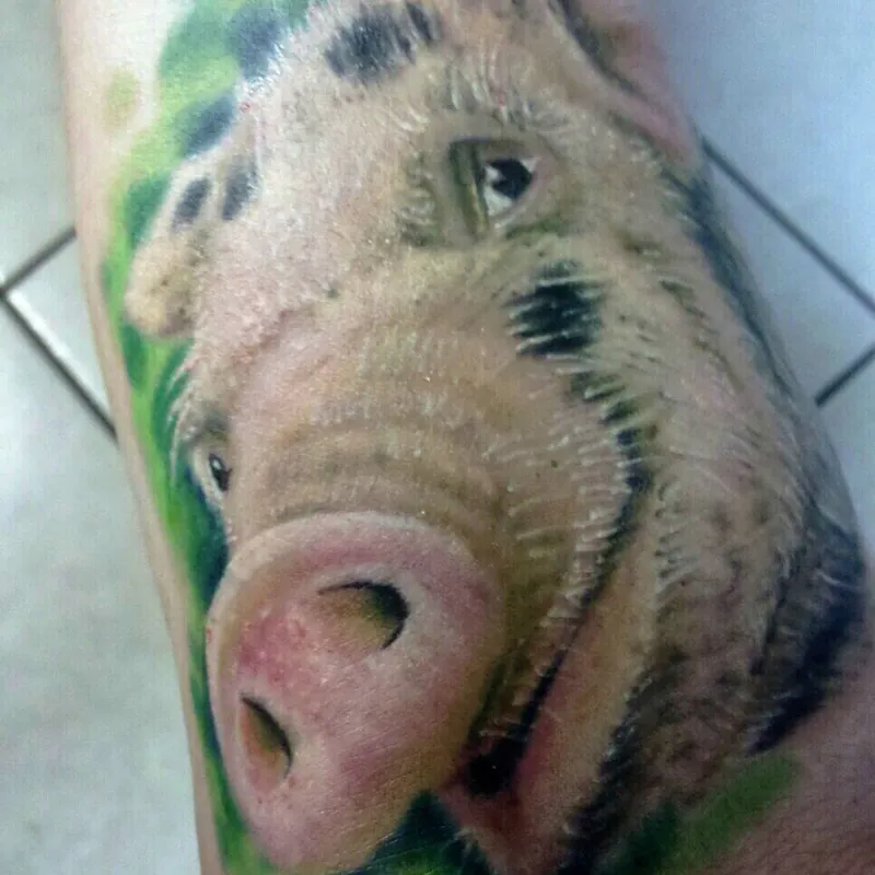 Color realism tattoo of a bristle-haired pig's face in close-up, with a pink snout and green foliage background, on the forearm.