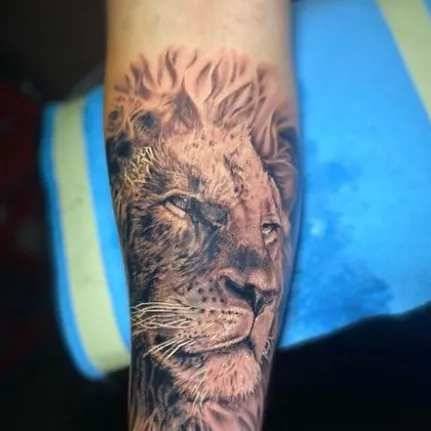 Black and grey realism tattoo of a lion's head with a full detailed mane and forward-facing gaze, covering the forearm.