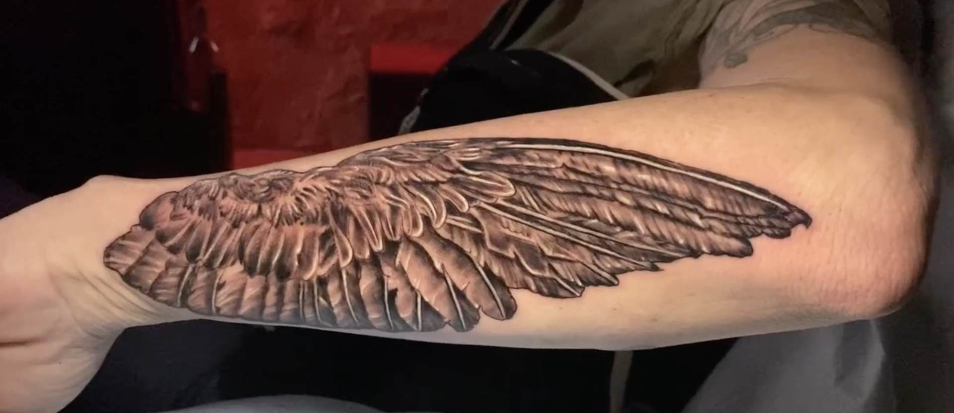 Tattoo of a large, realistic feathered bird wing spanning the length of a person's forearm. The wing is detailed with intricate shading and texture to create a lifelike three-dimensional effect, showing layered feathers in various sizes and shapes.