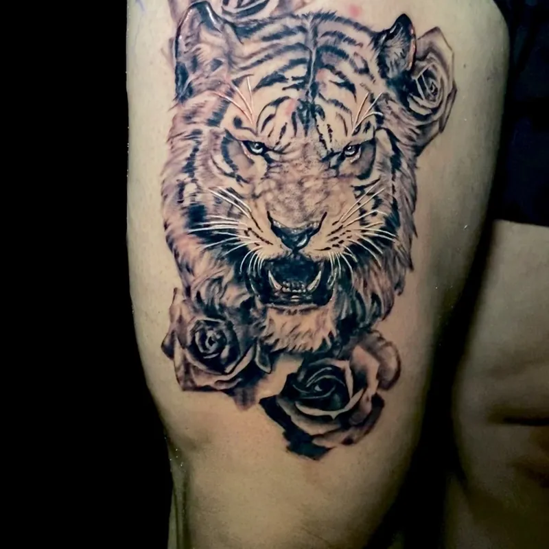 Black and grey tattoo on the thigh of a roaring tiger's head flanked by roses, with bared teeth and intense forward-facing eyes.