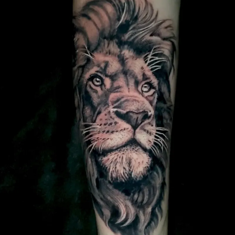 Black and grey realism tattoo of a lion's face with a full mane and long whiskers, looking straight ahead, on the forearm.