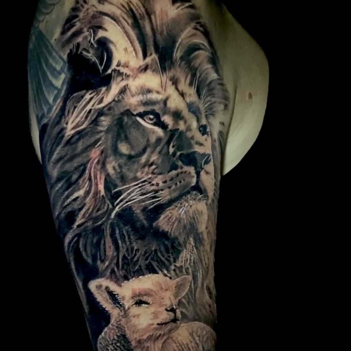 Black and grey realism tattoo of a lion's face with a heavy mane above a lamb lying in the grass, with a feathered wing behind them, on the upper arm.